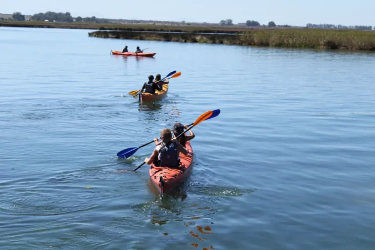 Canoe and kayak world 1 1 768x512